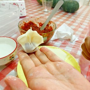 " wonton of bright shrimp of gigantic delicious beef " the practice move that the shrimp sauce that adds wonton spirit makes 20