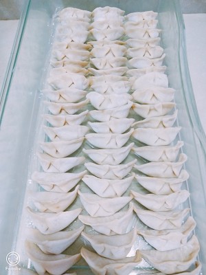 Dumpling of beef of green Chinese onion (add dumpling stuffing to make detailed move) practice measure 9