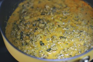 The practice measure of meal of person    of Zhi of beef curry dawdle 5