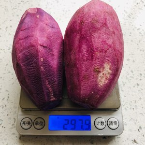 The practice measure of the milk of mud of low candy taro that the second kills Coco 2