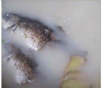 The practice measure of miscellaneous soup of sheep of crucian carp fish 10