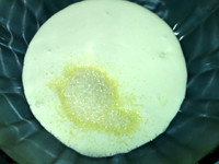 The practice measure of beautiful cake of back up of ovine baa baa 13