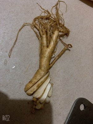 The practice measure of soup of oxtail ginseng turnip 2