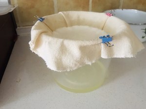 Yoghurt of initiative ferment sheep (milk powder edition) the practice measure that adds Greek yoghurt way 6