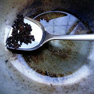 The practice measure of fried dumpling of beef of black any of several hot spice plants 3