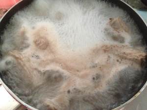 Breed south the practice measure of Nan of sheep of hot beans Chi 2