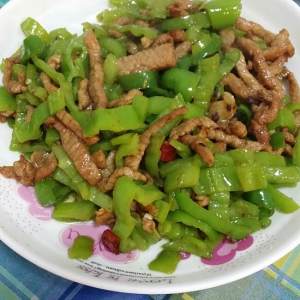 The practice measure of shredded meat of pointed any of several hot spice plants 3