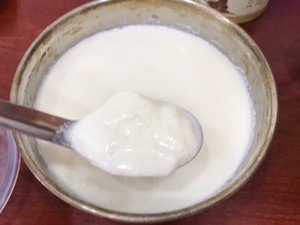 Yoghurt of initiative ferment sheep (milk powder edition) the practice measure that adds Greek yoghurt way 5