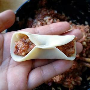 The practice measure of fried dumpling of beef of black any of several hot spice plants 9
