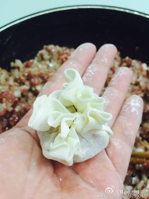 The practice measure of beef onion a steamed dumping with the dough gathered at the top 18