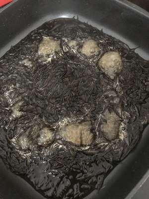 The practice measure of dish of dwell of sheep of sauce be soiled 5