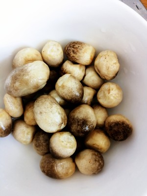 Straw mushroom beef (rice killer series 9) practice measure 1