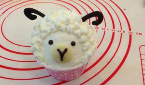 The practice measure of cake of cup of ovine baa baa 16