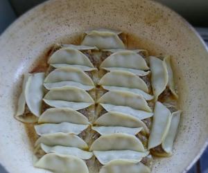 The practice measure of fried dumpling of beef of black any of several hot spice plants 17