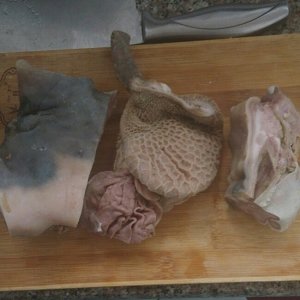 The practice measure of miscellaneous soup of arenaceous boiler sheep 1