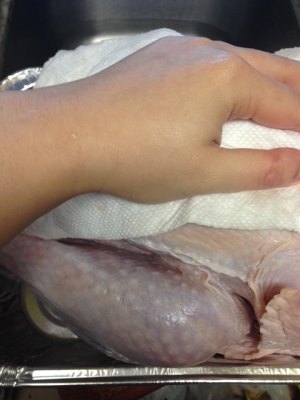 Chicken of thanksgiving nurse a fire (turkey wants how ability is not insipid) practice measure 2
