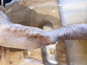 Big vegetable! The practice measure of eight treasures duck 9