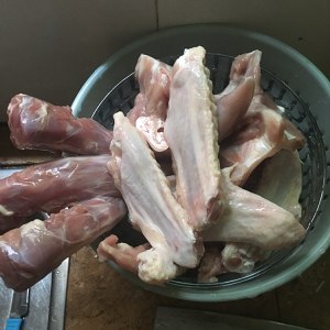 What can compares week of coot is self-restrained duck goods (wing of duck neck, duck wearing, duck) practice measure 1