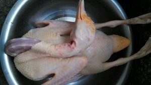 The practice measure of delicious duck 1