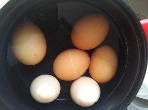 The practice measure of beer duck 3