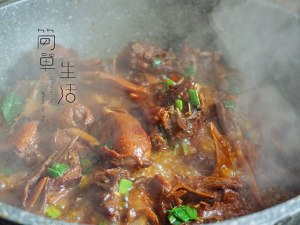 The practice measure of duck of popular hot beer 10