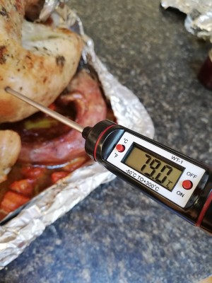 The practice measure of chicken of nurse a fire of festal big vegetable 11
