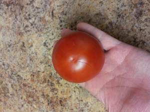 The practice measure that tomato spends 1