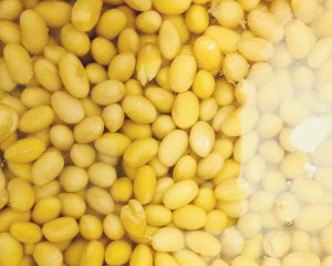 The practice measure of the duck soya bean that stew 1