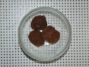 The practice measure of smoked plum duck 2
