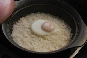 Tomato of pointed any of several hot spice plants the practice measure of egg meal 5