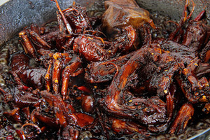 Week coot pot-stewed fowl? Gigantic delicious practice measure 6