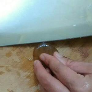 The practice measure of tomato shrimp 2