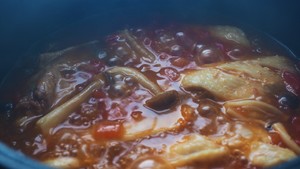 The practice measure of wing of chicken of tomato of electric meal Bao 3