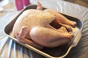 The practice measure of chicken of Christmas nurse a fire 4