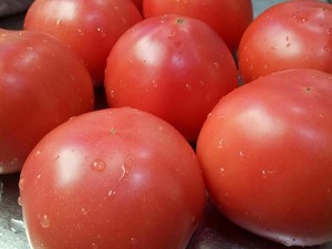 Tomato of apricot Bao stay of proceedings the practice measure of fleshy sauce 1