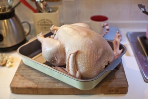 The practice measure of chicken of Christmas nurse a fire 1