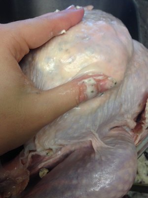 Chicken of thanksgiving nurse a fire (turkey wants how ability is not insipid) practice measure 9