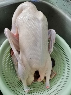 The practice measure of purple perilla duck 1