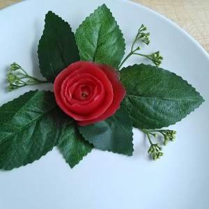 The practice measure of tomato rose 4