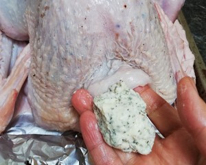 The practice measure of chicken of nurse a fire of festal big vegetable 4