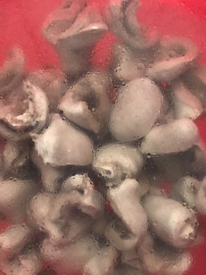 The practice measure of citric duck heart 6