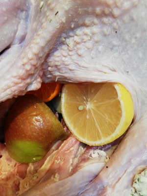 The practice measure of chicken of nurse a fire of festal big vegetable 6