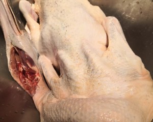 Duck of braise in soy sauce (whole) practice measure 1