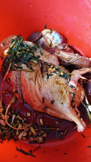 The practice measure of duck of    duck stew 4