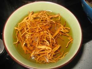The practice measure that Chinese caterpillar fungus spends soup of the duck that stew 5