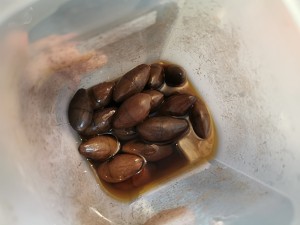 デリケートかつ EASYが作る甘酸っぱいチェリーのトマトの実習対策6