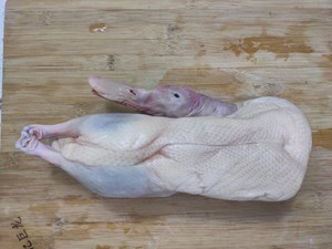The practice measure of delicate beer duck 1