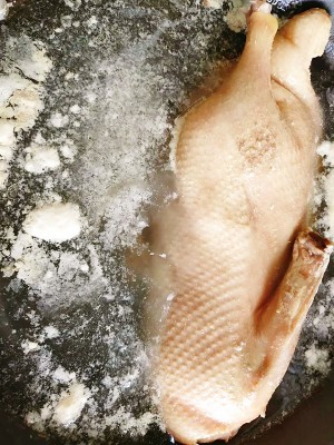 The practice measure that exceeds delicious plum duck 1