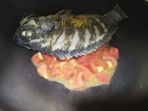 トマトの魚の実習は非難を集める5