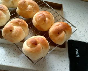 The practice measure of old biscuit of small yellow duckling 14